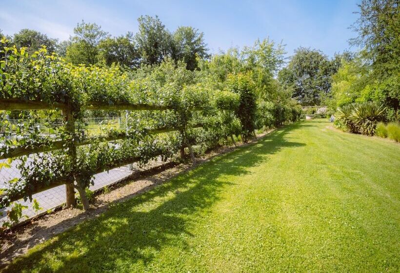 بنسيون Le Domaine Des Platanes