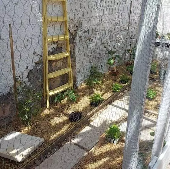 Aamiaismajoitus (B&B) Antica Casa Cristofori