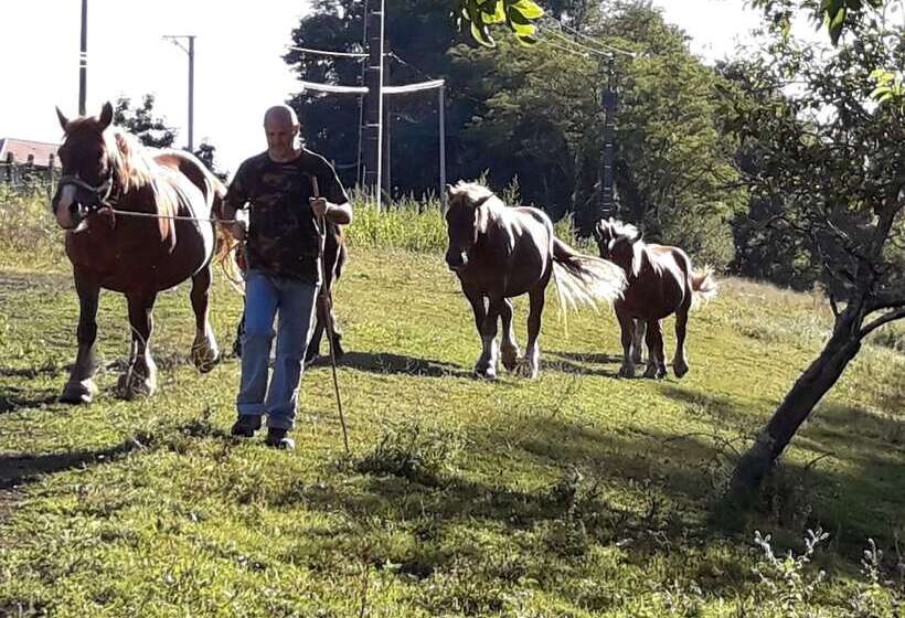 住宿加早餐  Chambres D Hotes Azkena