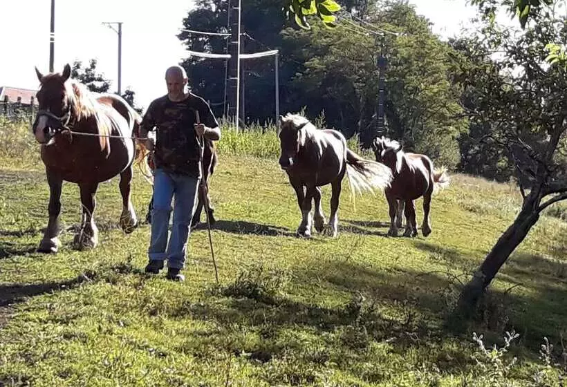 Aamiaismajoitus (B&B) Chambres D Hotes Azkena