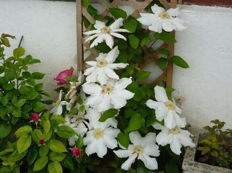 住宿加早餐  Domaine De Regnonval