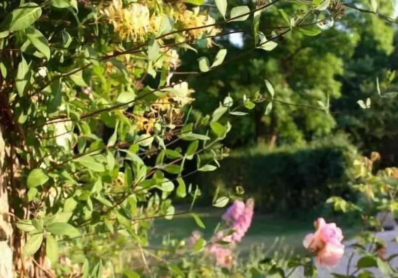 Aamiaismajoitus (B&B) Les Picardies