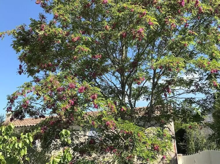 Aamiaismajoitus (B&B) L'escale De Mortagne