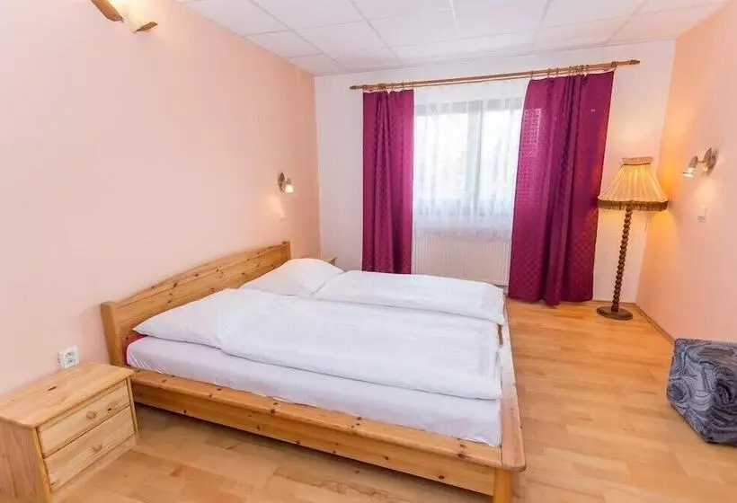 ベッドアンドブレックファースト Penzion Retro