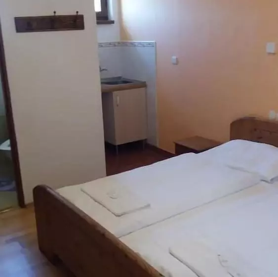 ベッドアンドブレックファースト Penzion Retro