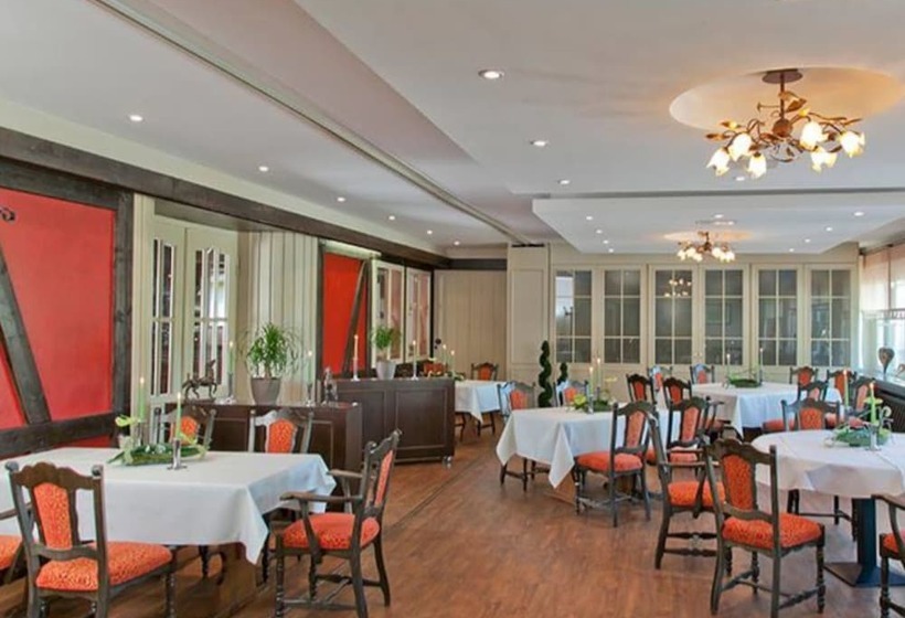 Хостел Landgasthaus Hotel Zur Alten Linde