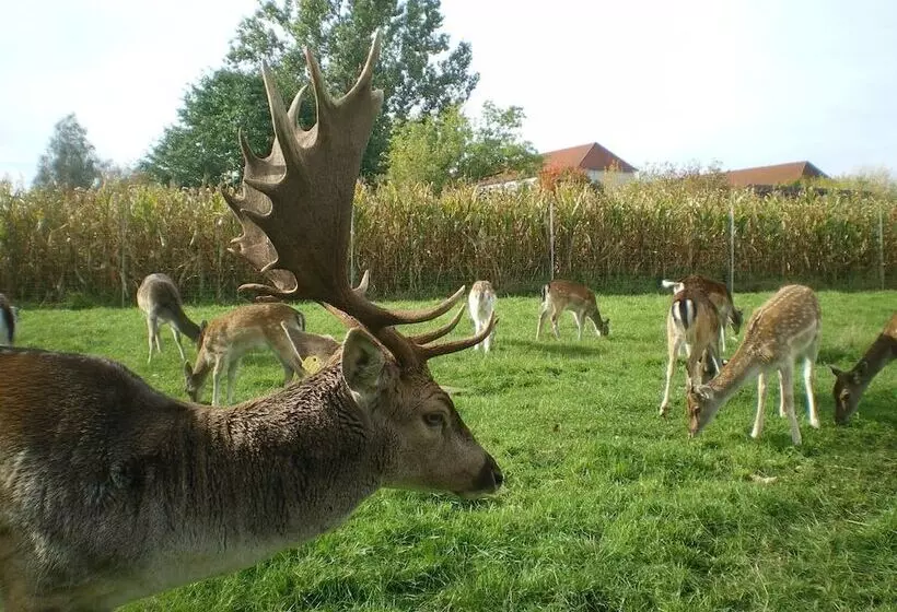 Hotelli Märkischheide Gmbh