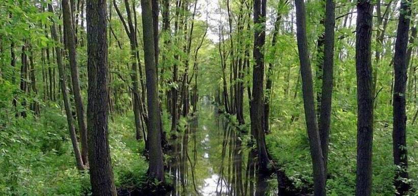 فندق Märkischheide Gmbh