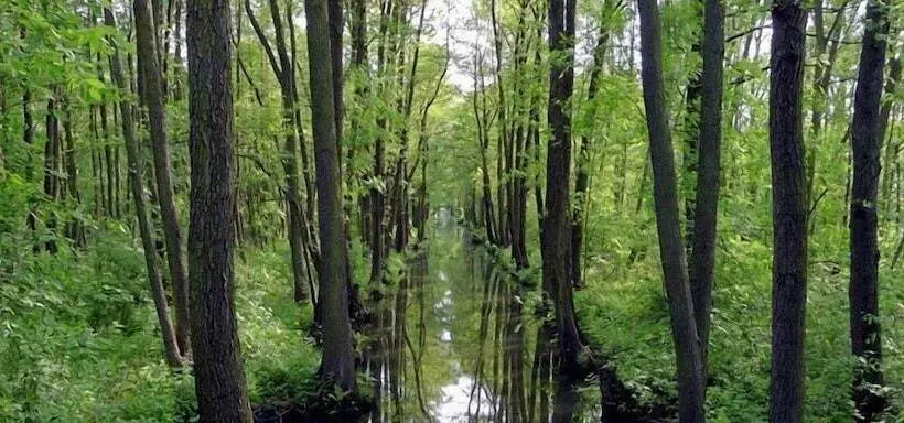 Hotelli Märkischheide Gmbh