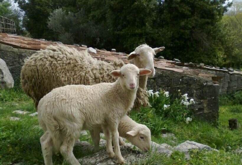 田舎風ホテル Agriturismo Borgo Cerquelle