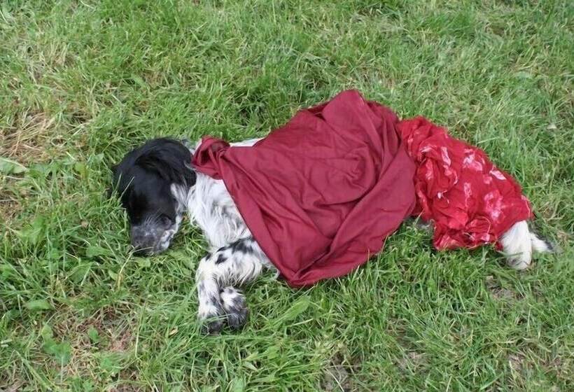 田舎風ホテル Agriturismo Borgo Cerquelle