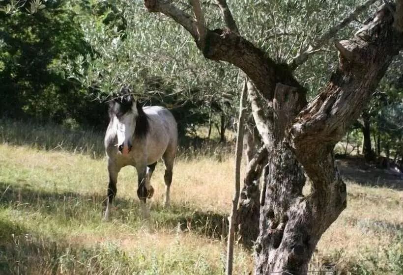 田舎風ホテル Agriturismo Borgo Cerquelle