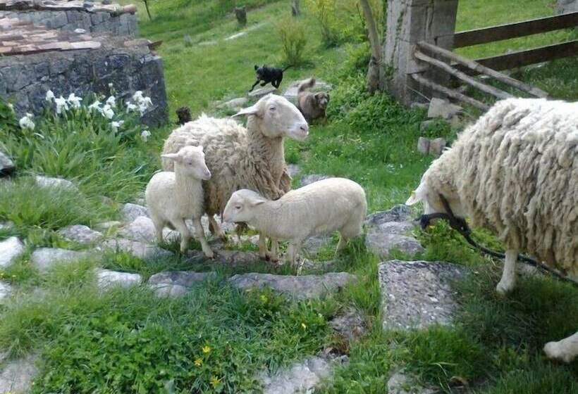 田舎風ホテル Agriturismo Borgo Cerquelle