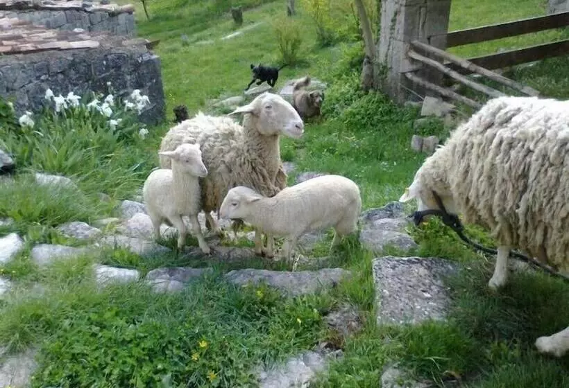 田舎風ホテル Agriturismo Borgo Cerquelle