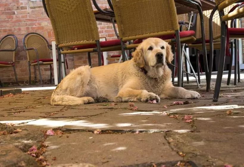 Hotelli Garni Mühlenhof