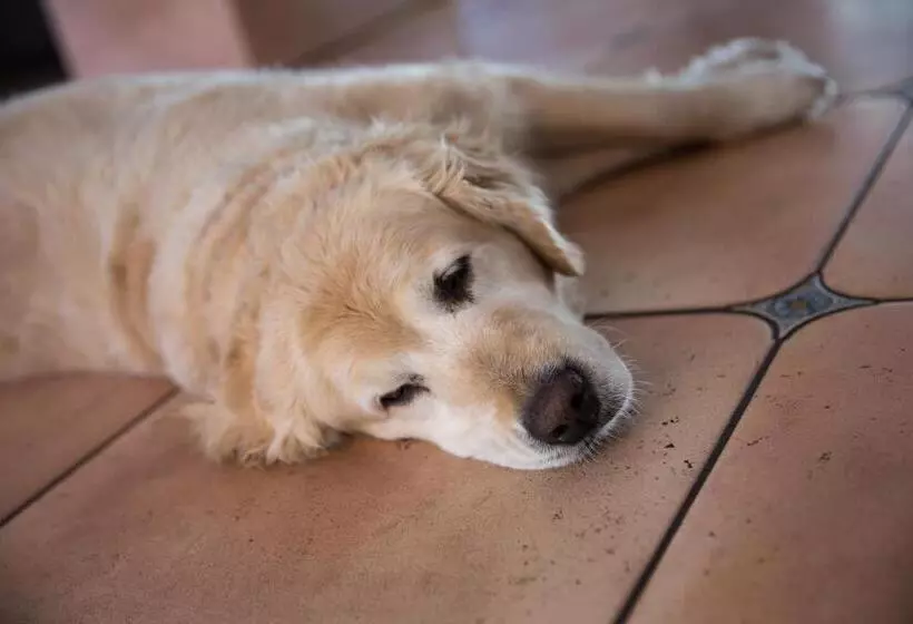 Hotelli Garni Mühlenhof