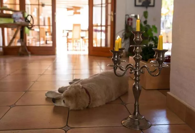 Hotelli Garni Mühlenhof