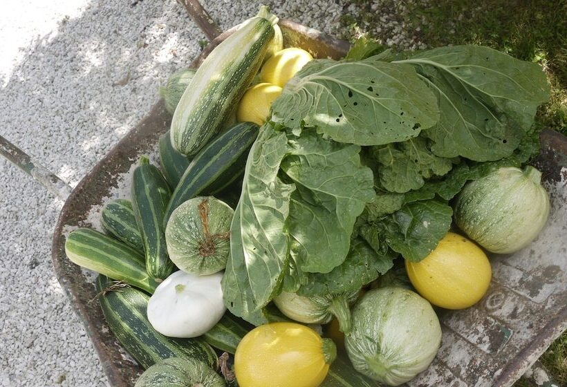 Пансион Domaine De Puytirel