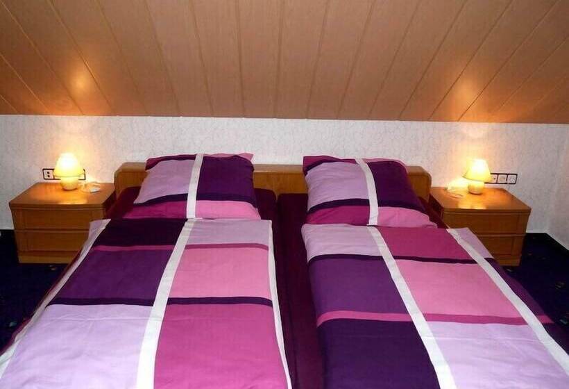 Пансион Ferienhaus & Nurdachhaus Rothaargebirge