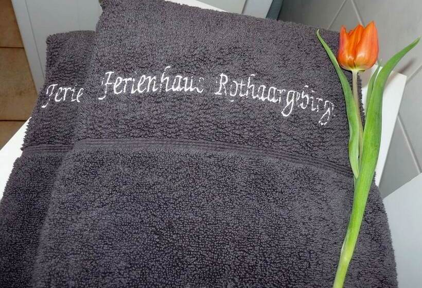 Пансион Ferienhaus & Nurdachhaus Rothaargebirge