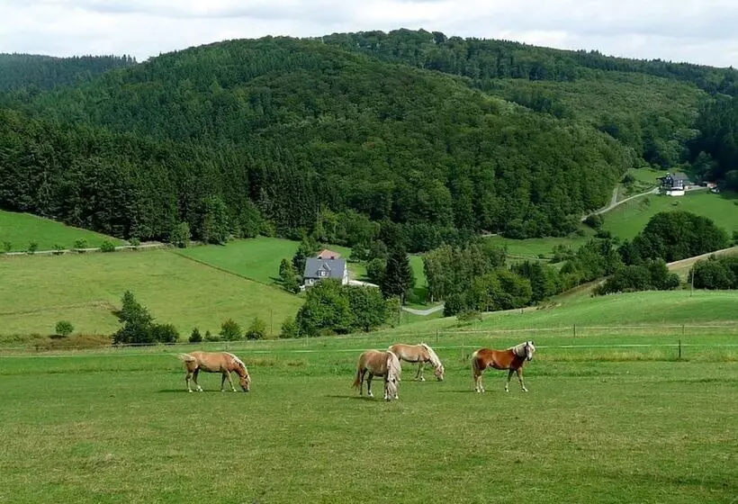 Majatalo Ferienhaus & Nurdachhaus Rothaargebirge