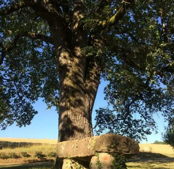 Majatalo La Cordillière