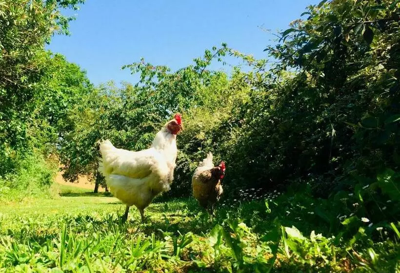 Majatalo La Cordillière