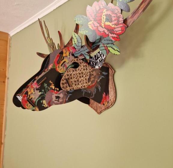 بنسيون Le Silence Du Midi