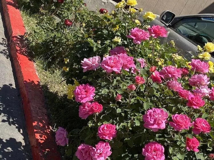 호텔 Budget Inn At The Heavenly Gondola