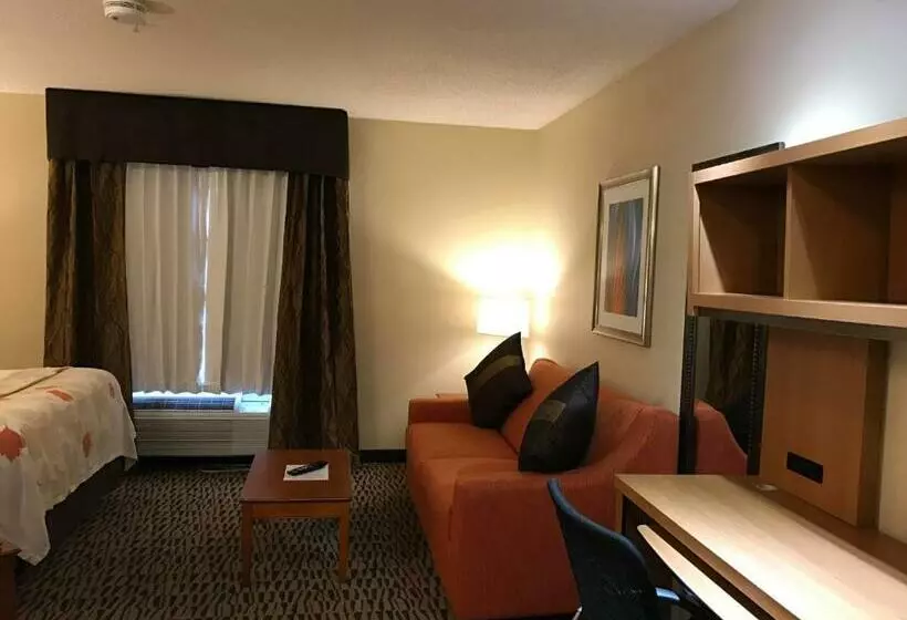 هتل Hawthorn Suites By Wyndham Louisville North