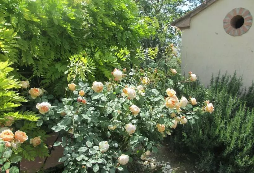 ホテル Locanda Le Boscarecce