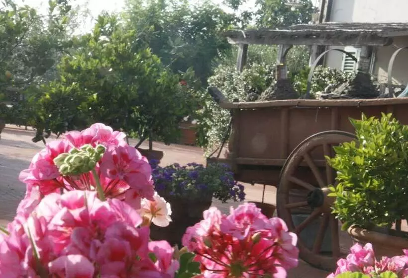 ホテル Locanda Le Boscarecce