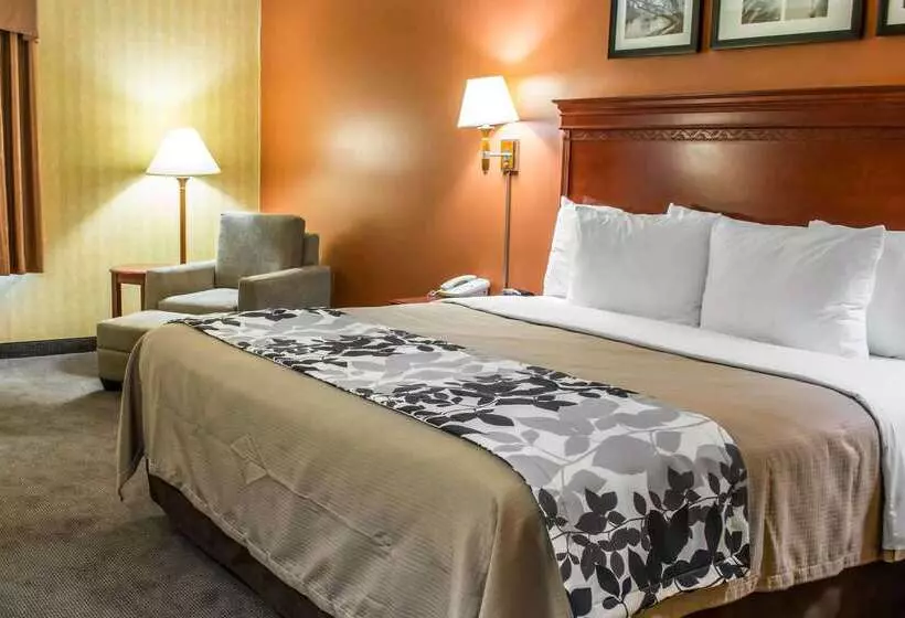 酒店 Comfort Inn & Suites Ashland – Richmond North