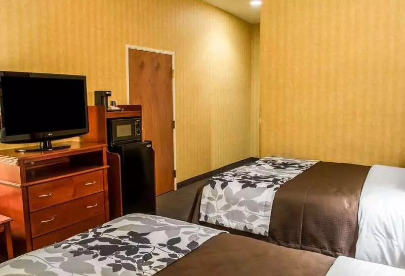 酒店 Comfort Inn & Suites Ashland – Richmond North