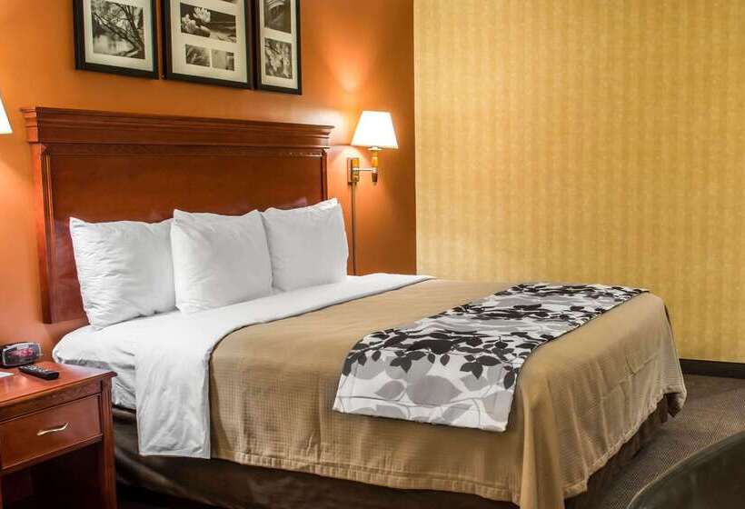 فندق Comfort Inn & Suites Ashland – Richmond North