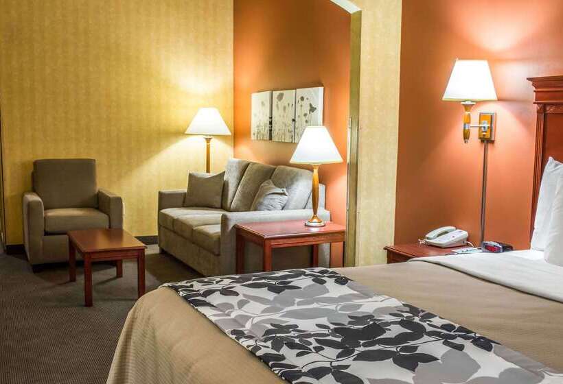 فندق Comfort Inn & Suites Ashland – Richmond North