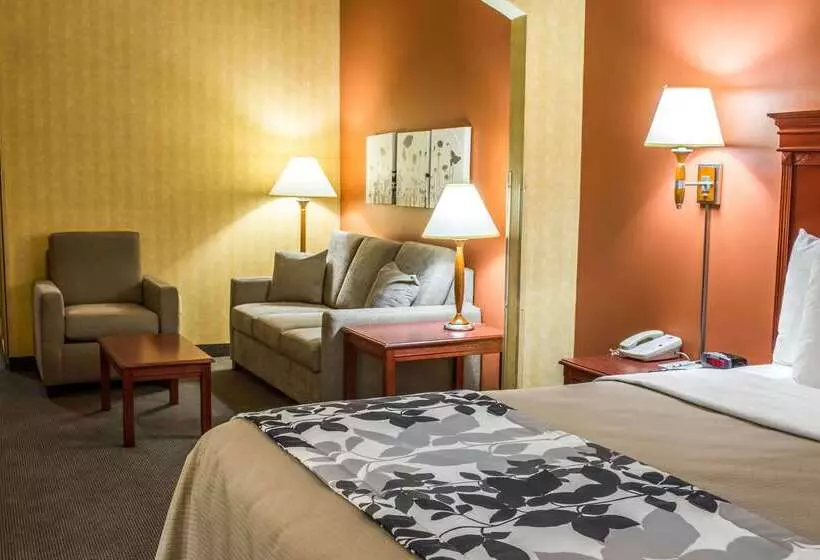 酒店 Comfort Inn & Suites Ashland – Richmond North