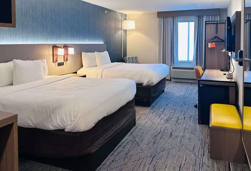 酒店 Comfort Inn & Suites Ashland – Richmond North