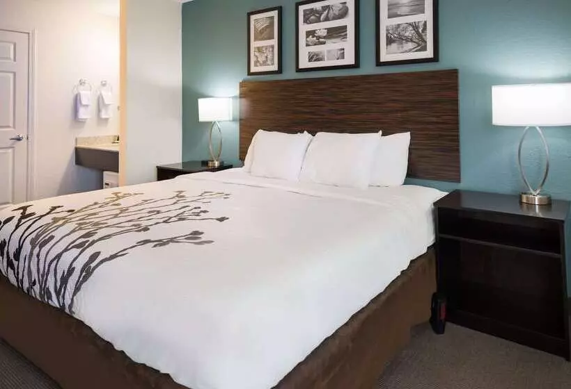 호텔 Sleep Inn & Suites