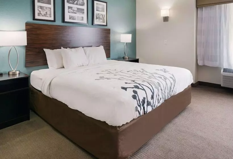 호텔 Sleep Inn & Suites