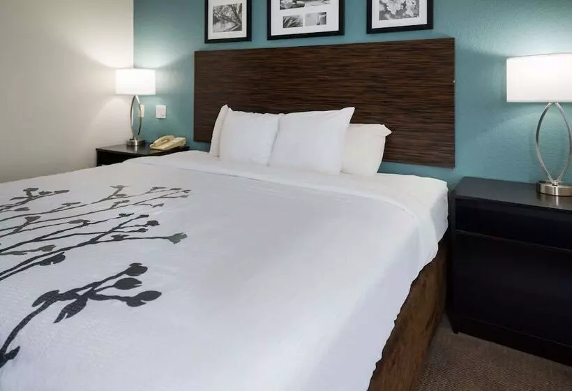 호텔 Sleep Inn & Suites