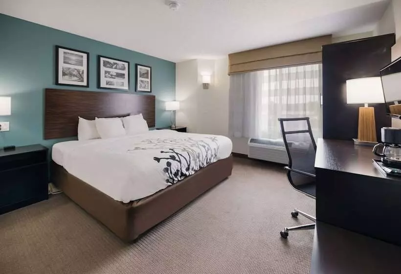 호텔 Sleep Inn & Suites