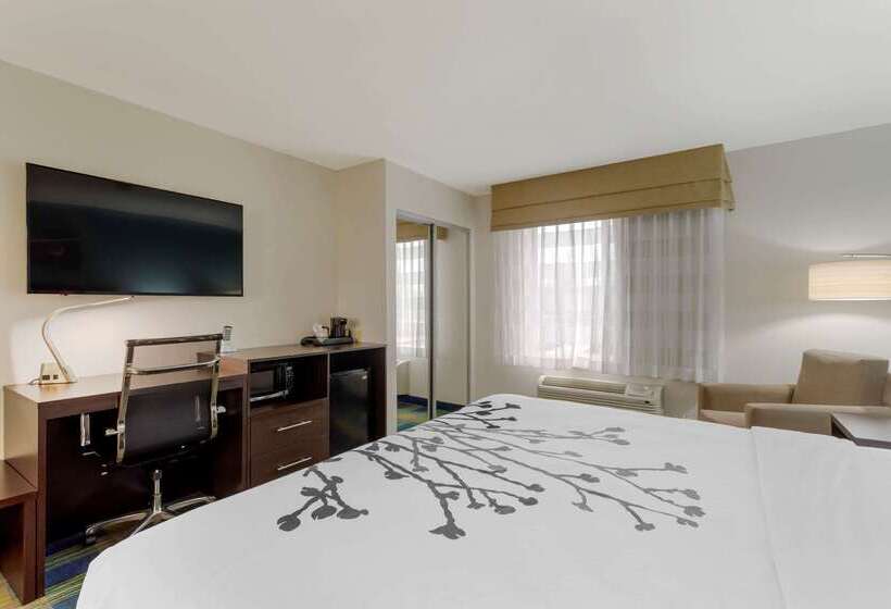 酒店 Sleep Inn & Suites Smyrna Nashville