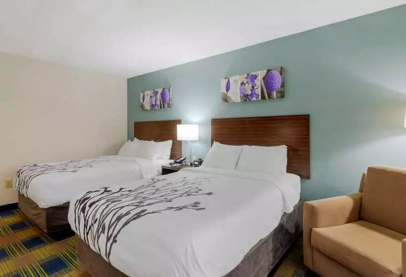 ホテル Sleep Inn & Suites Smyrna   Nashville