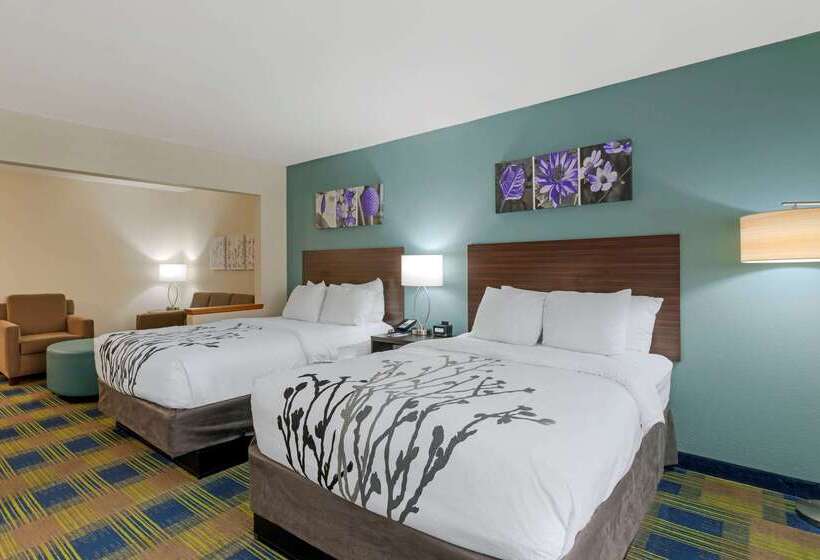 酒店 Sleep Inn & Suites Smyrna Nashville