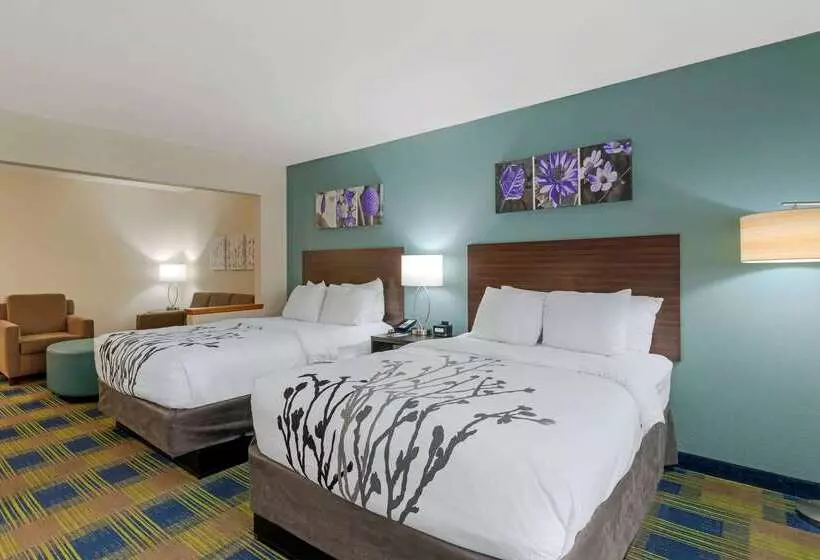ホテル Sleep Inn & Suites Smyrna   Nashville