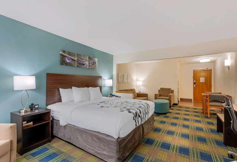 酒店 Sleep Inn & Suites Smyrna Nashville