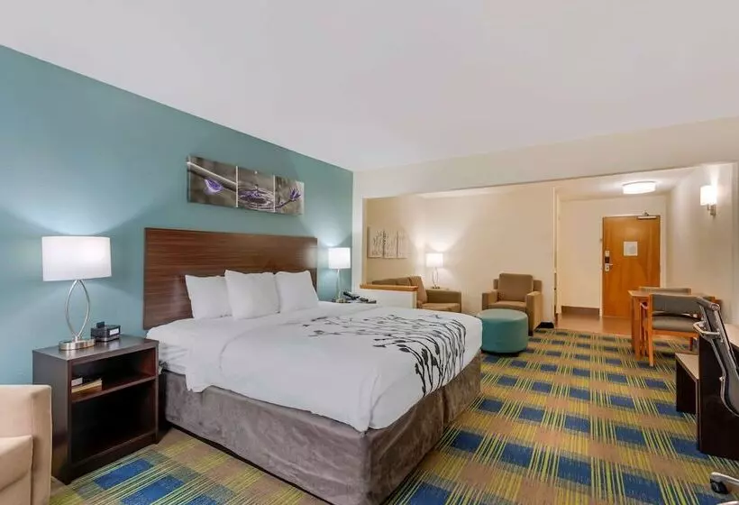 ホテル Sleep Inn & Suites Smyrna   Nashville
