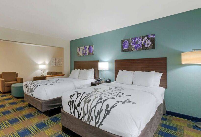 酒店 Sleep Inn & Suites Smyrna Nashville