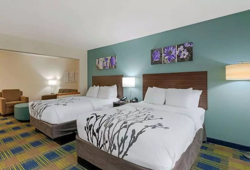 ホテル Sleep Inn & Suites Smyrna   Nashville